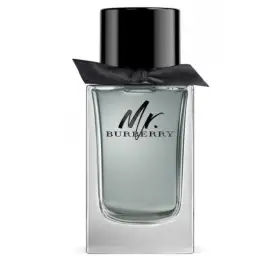 Burberry, Mr. Burberry, Apa de Toaleta pentru Barbati, 100 ml *Tester