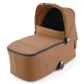 Landou Sadena/Celona Select Sweet Curry