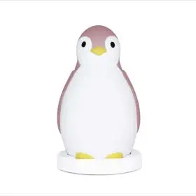 Antrenor de Somn Zazu Kids Pam Roz
