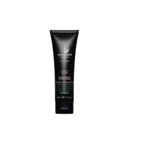 Awapuhi Wild Ginger By Paul Mitchell, Crema Modelatoare pentru Par, Style, Paraben-Free, 50 ml